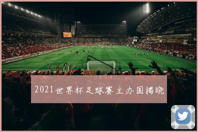 2021世界杯足球赛主办国揭晓
