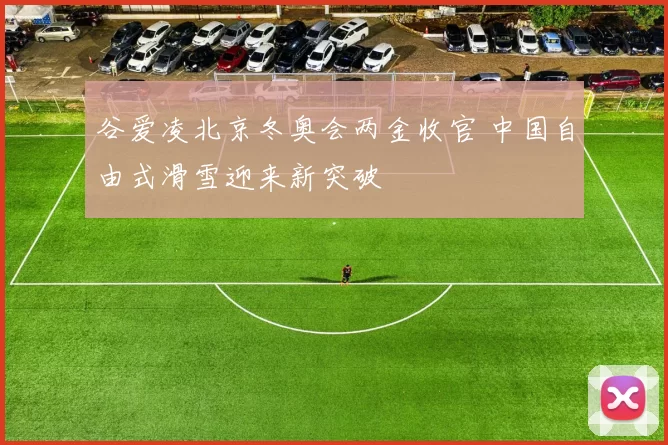 谷爱凌北京冬奥会两金收官 中国自由式滑雪迎来新突破